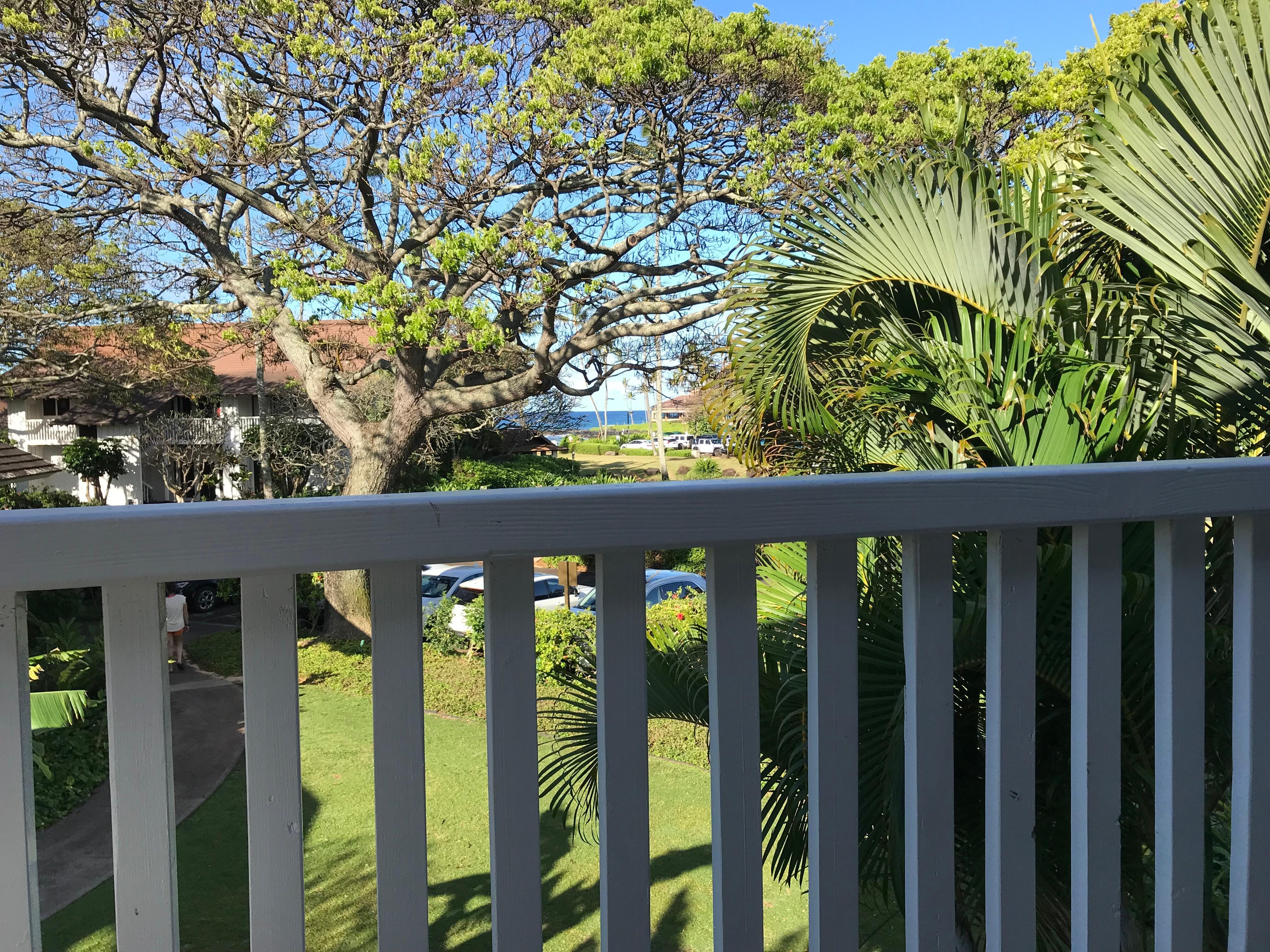 Having morning coffee on the lanai 