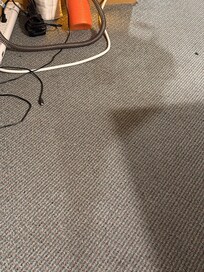 I’m surprised there were no signs of bed bugs