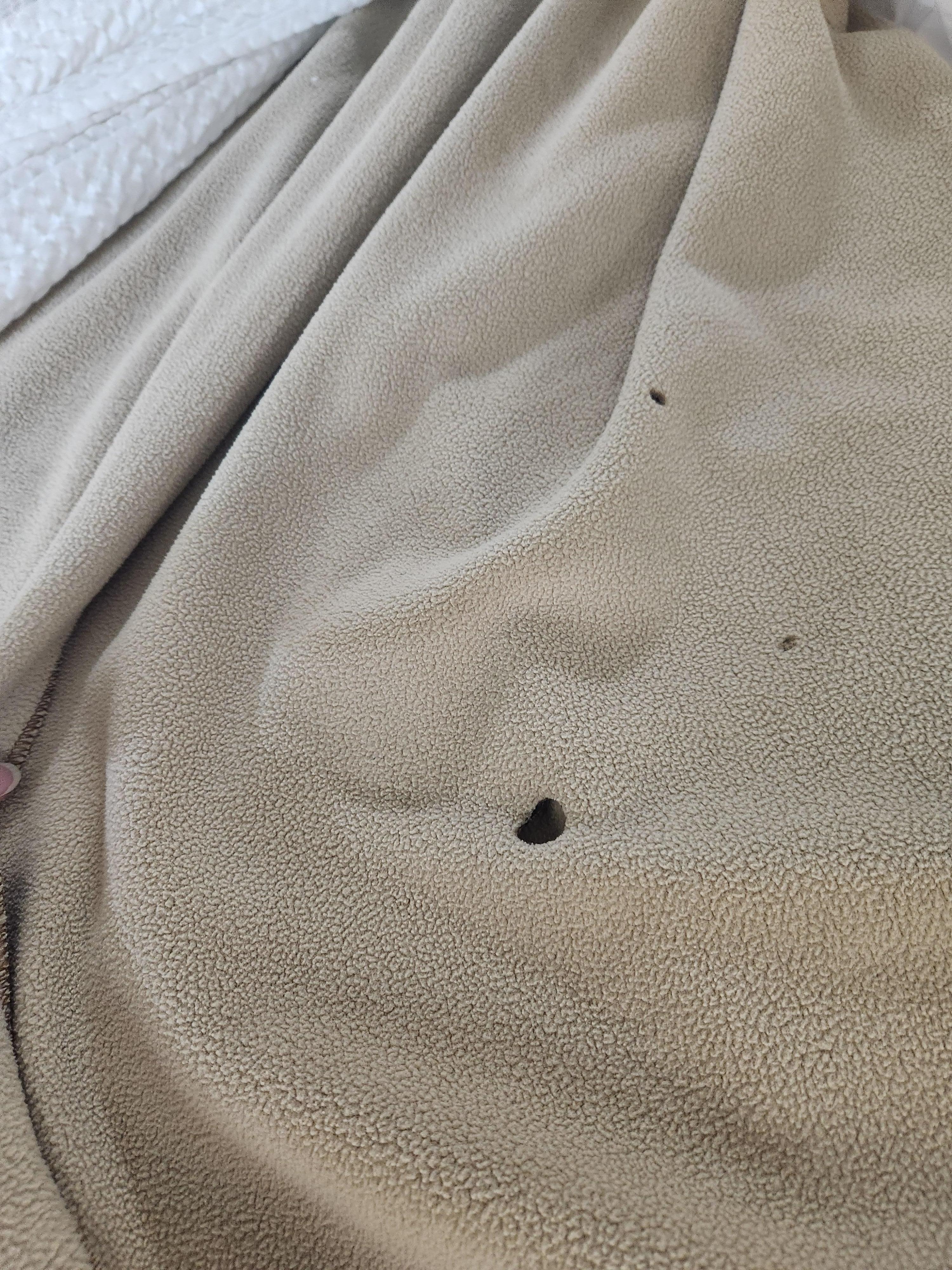 Cigarette burns on the blanket. 