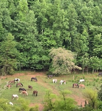 On the way to the cabin