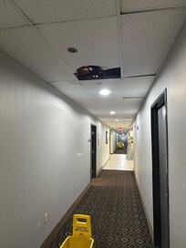 Leaking ceiling
