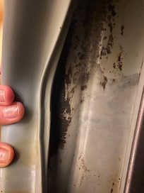 Mold in washer