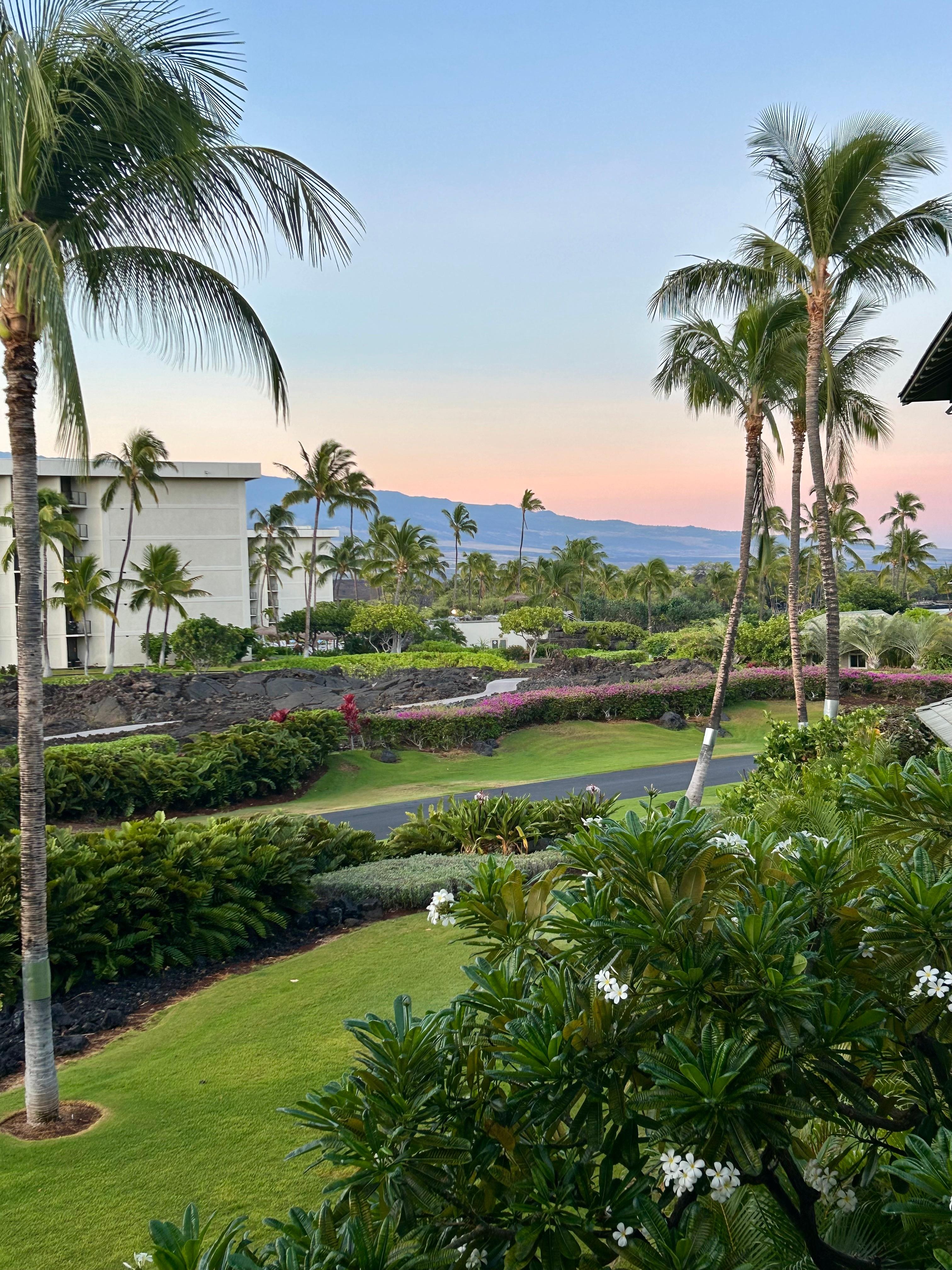 View from the balcony/deck.