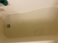 Backed up sewer in master bath