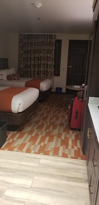 Bed area. Nice and large room