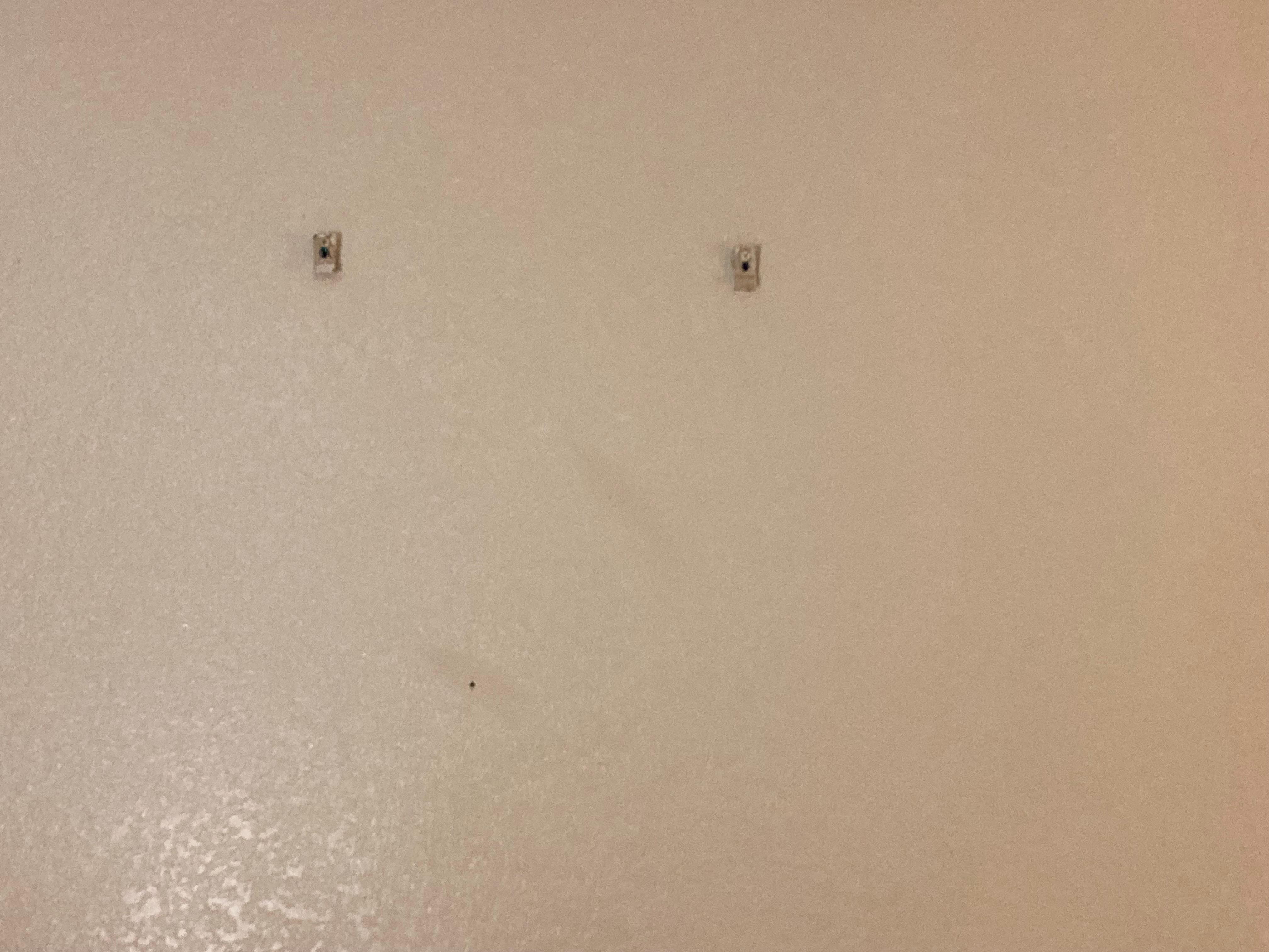 Screws where art was ripped off the wall.