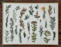 Original artwork in my room