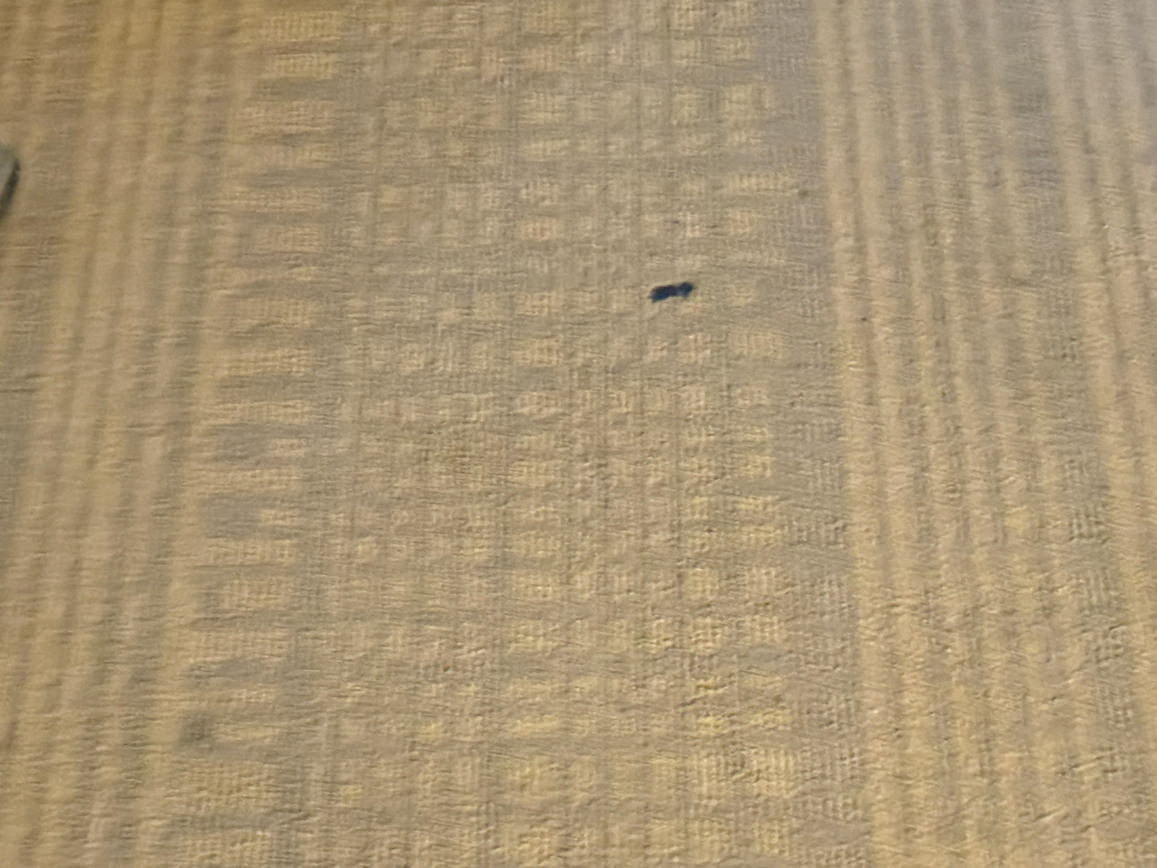 Room carpet