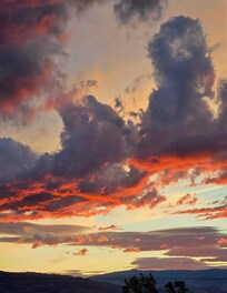 Every night is a different show.