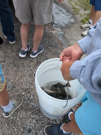 They stocked the lake with over 700 black bass!