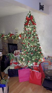 The Christmas tree the Host got for me last minute .