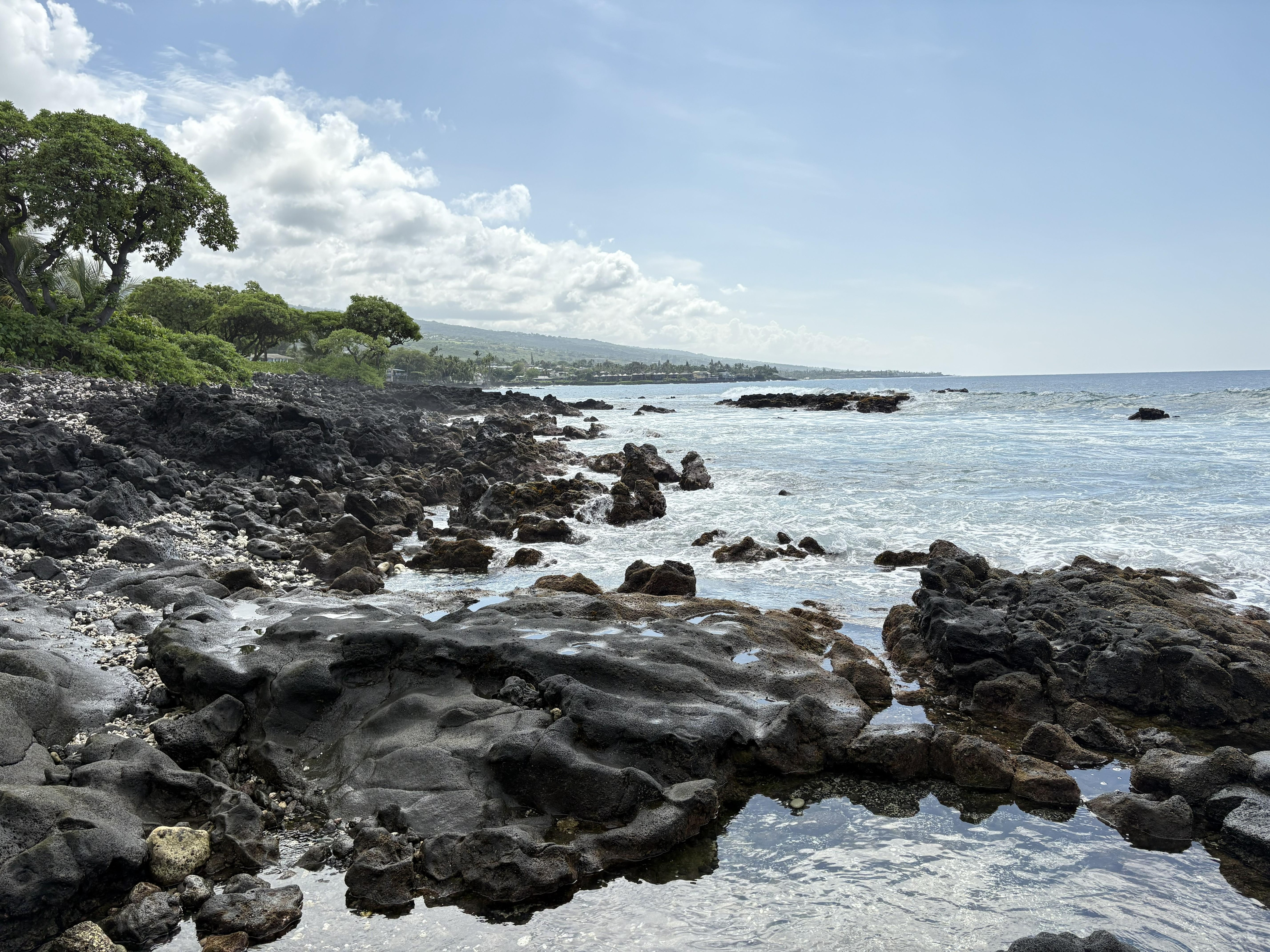 Walking distance: Public accss at Ali'i Dr and Ke'Alohi Kai Pl. Turtles and tide pools.