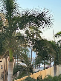 From my balcony
