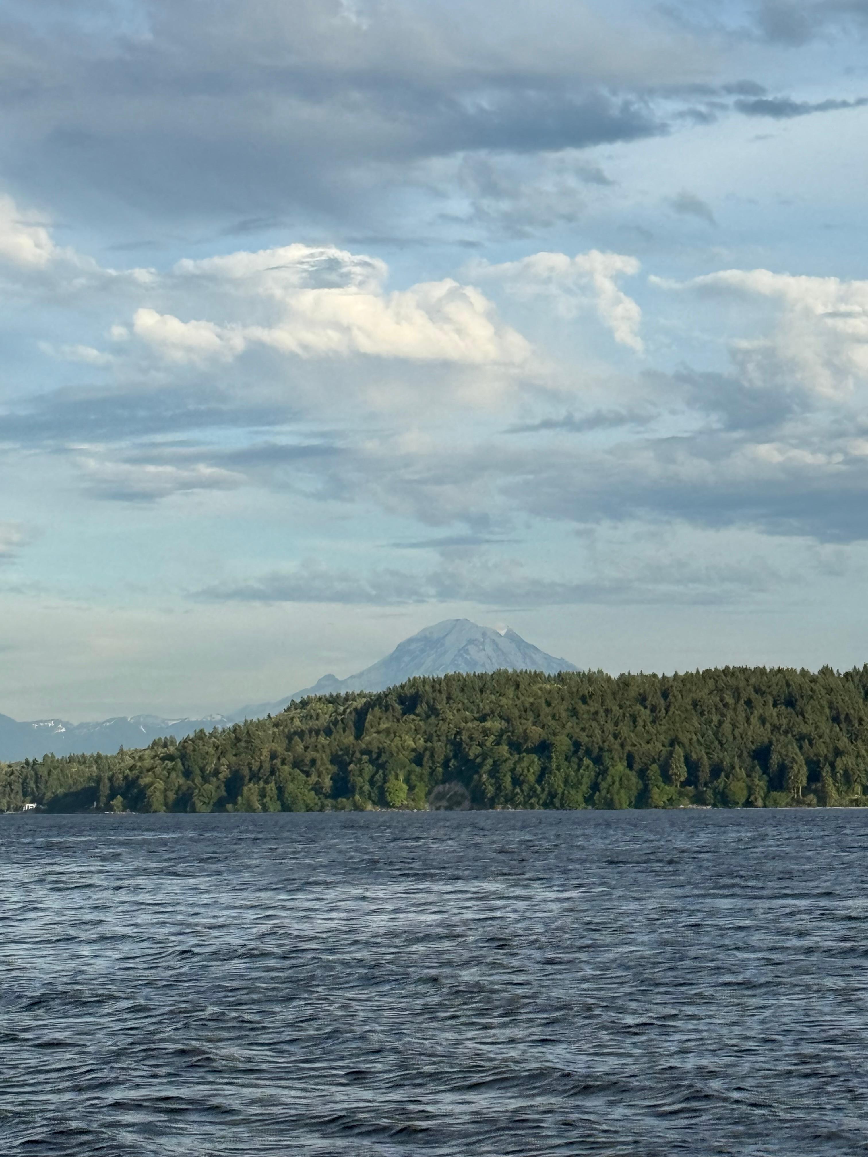 View from beach just below house 