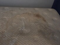 Mattress when we removed be sheets.