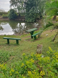 Turtle sanctuary, apperently there were no turtles seen but plenty of plastic bags and bottles, the very thing that kills turtles
