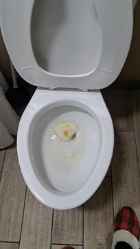 Toilet won't flush