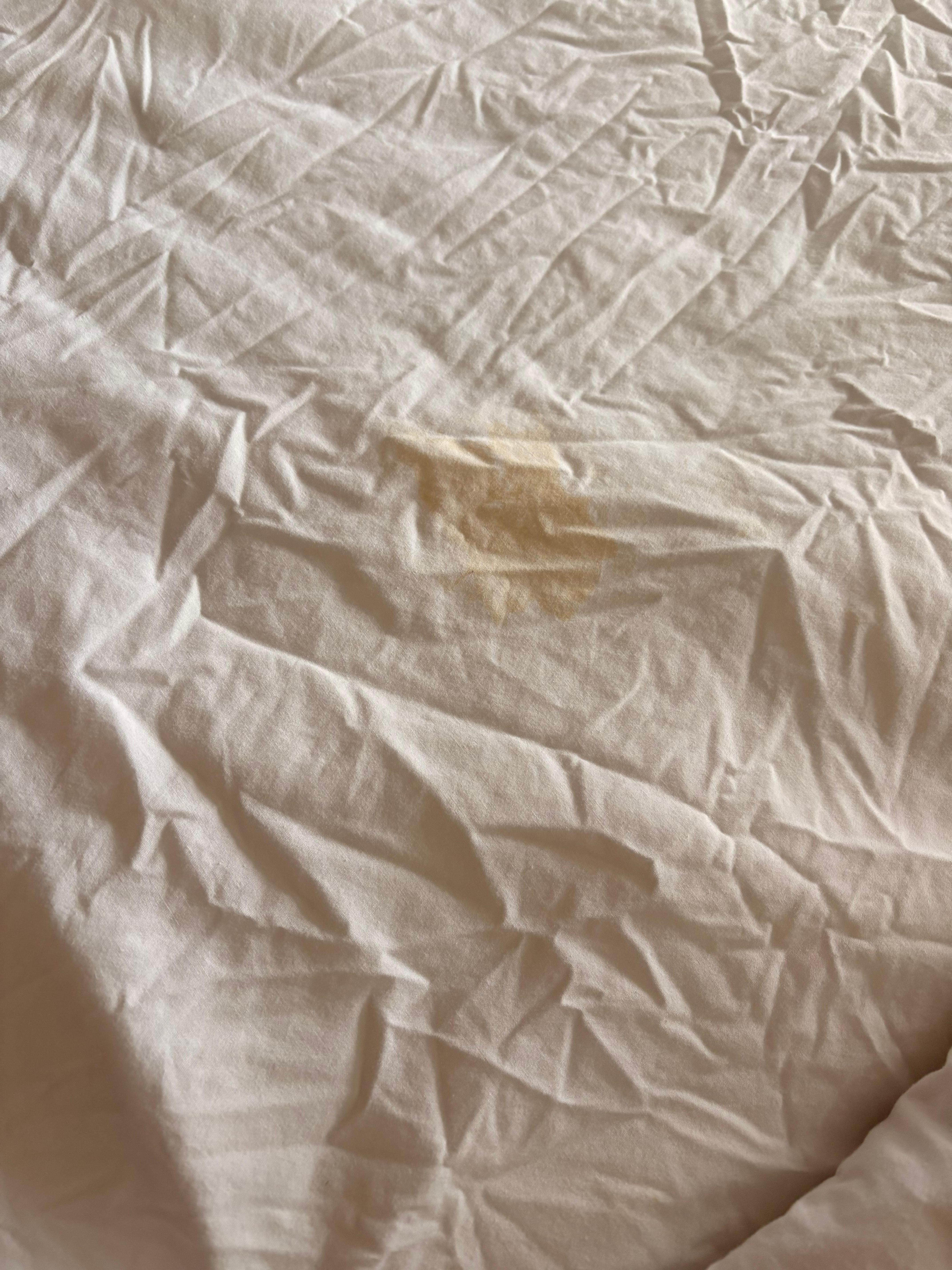 This was the state of the bed sheets upon arrival, once the top blanket was pulled back.  Yellow stain and very wrinkled, appeared slept in or unwashed.
