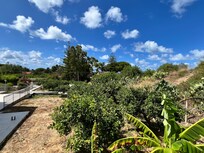 Views from villa
