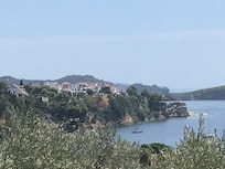 View from Bar
