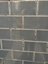 Mold in shower