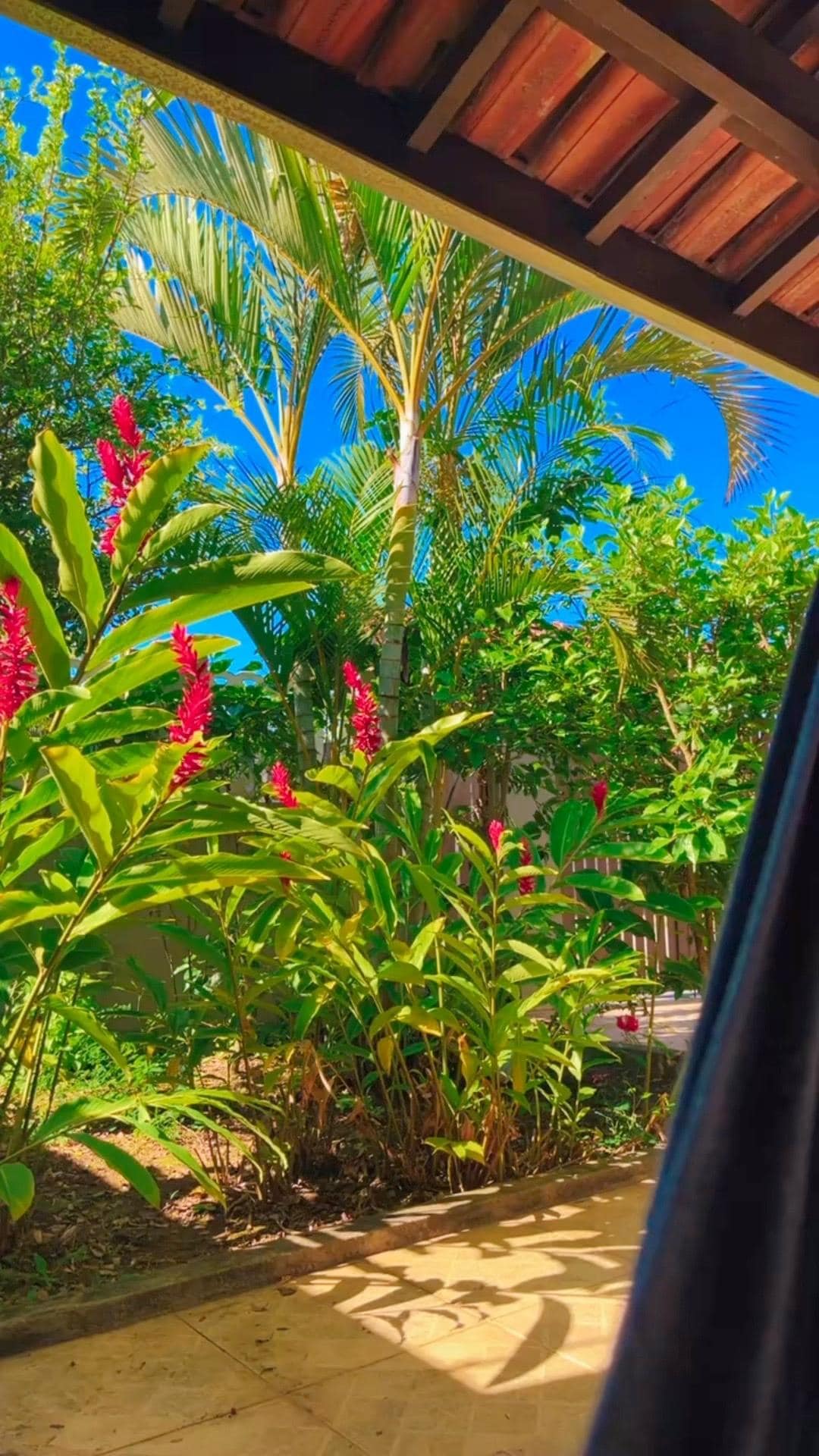 Nossa visão da rede 