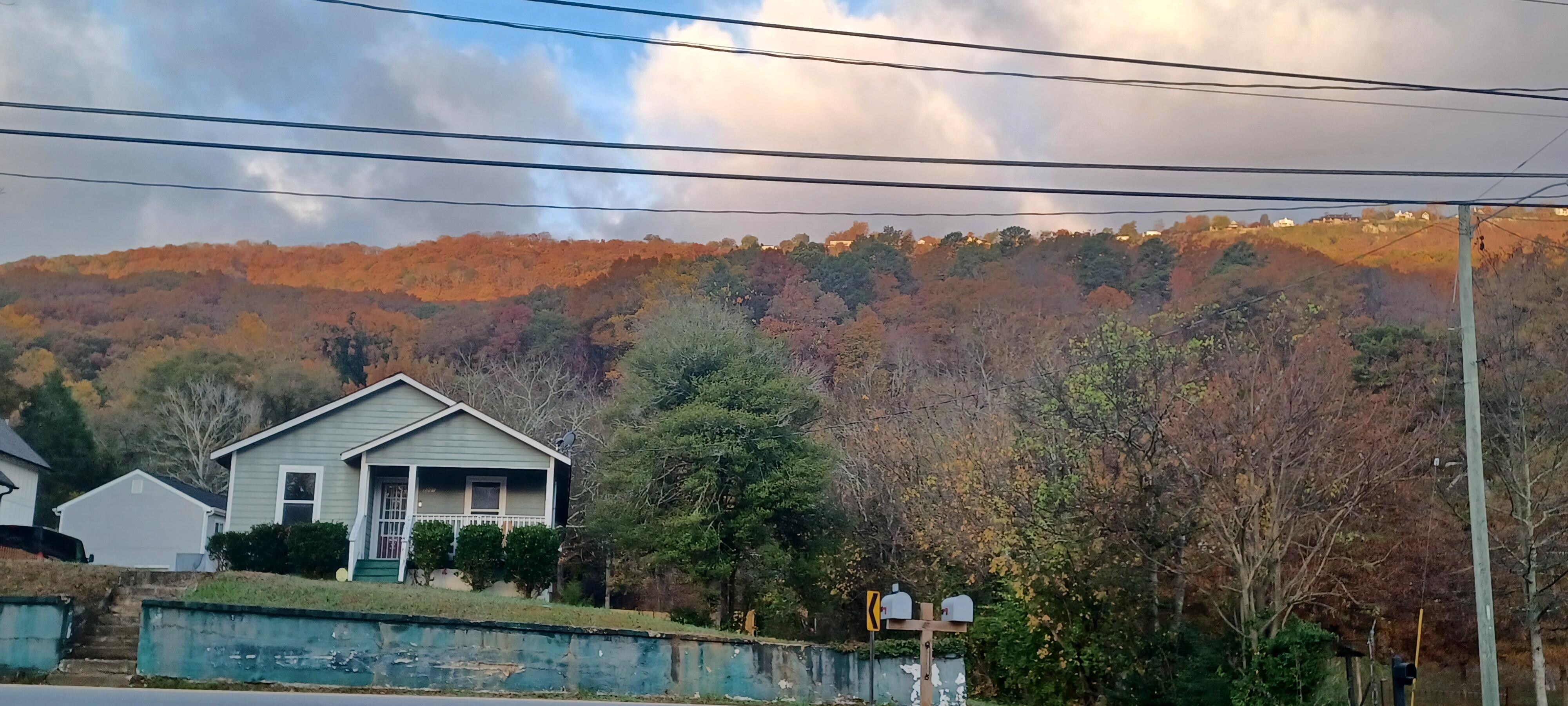 View outside the front door. Beautiful area!