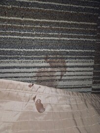 Melted chocolate in floor and on bed in the room on the 2nd floor that we actually settled for bc we needed to get some rest to be able to get up early and leave the following morning.