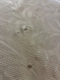 Disgusting bedspread