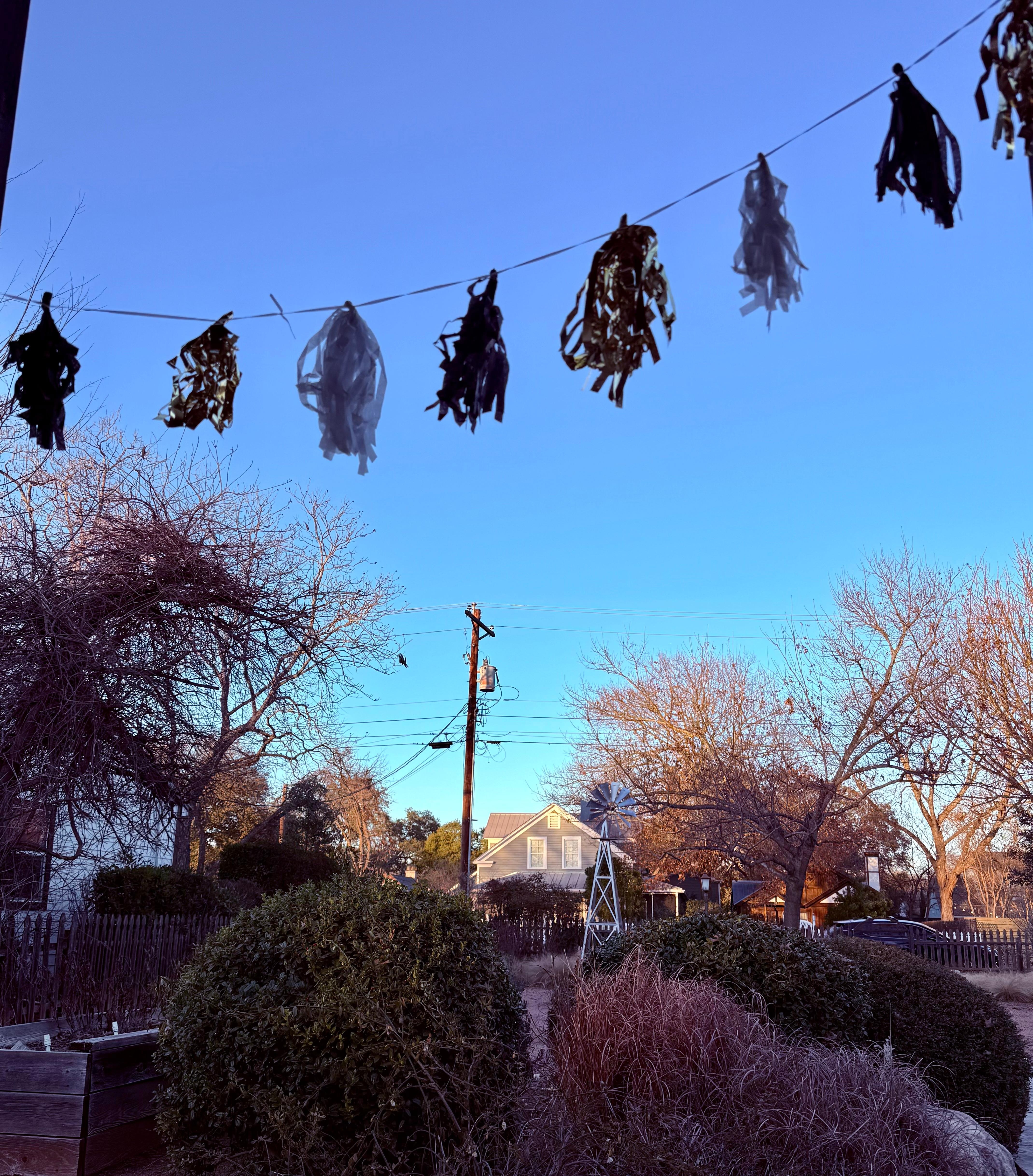 View from one of the front porches
