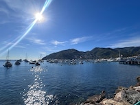 Beautiful Catalina!