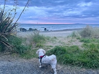 Sunrise on Morning Walk