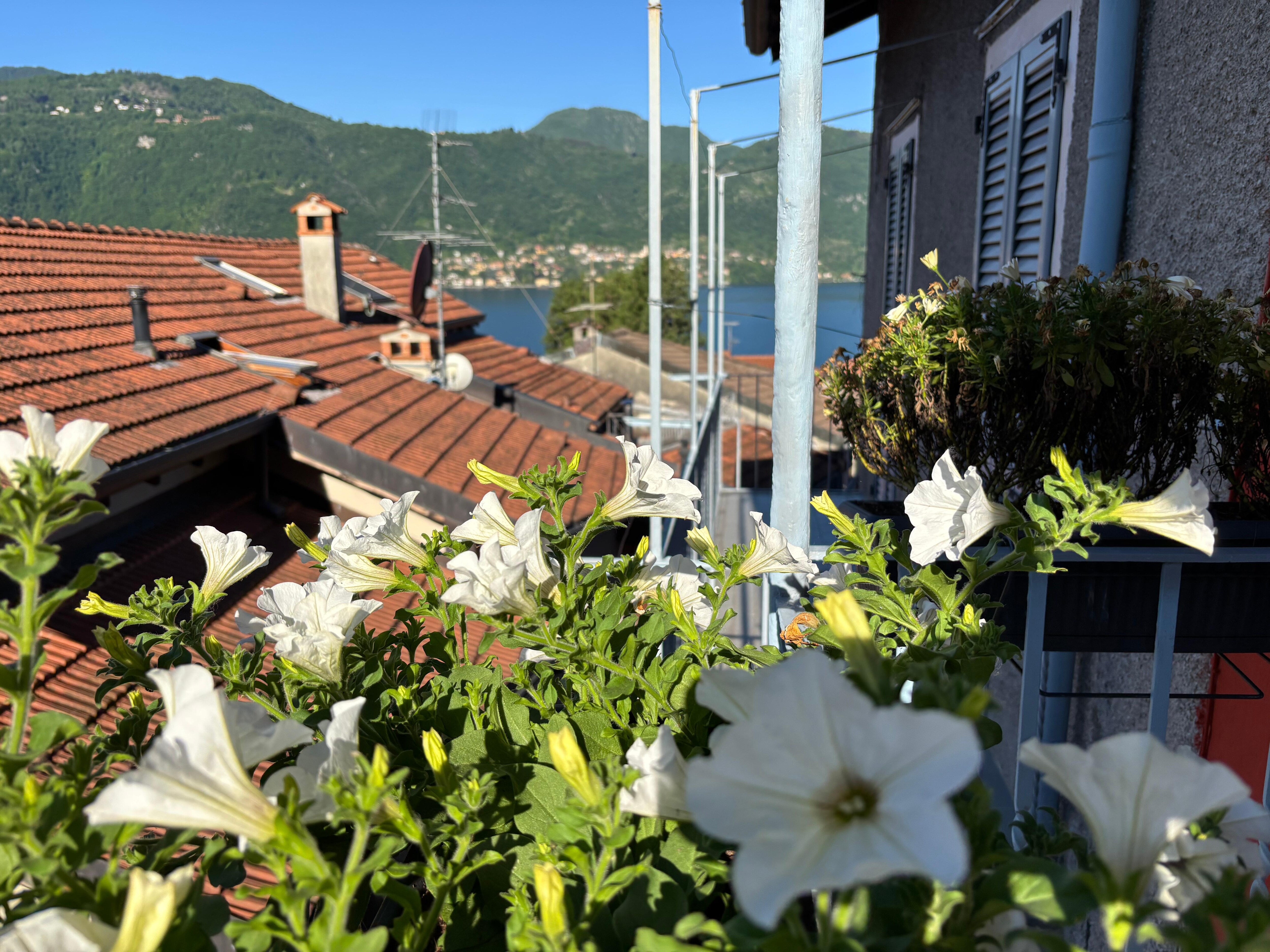 View of Lake Como from our balcony