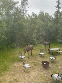 And he brought a friend!