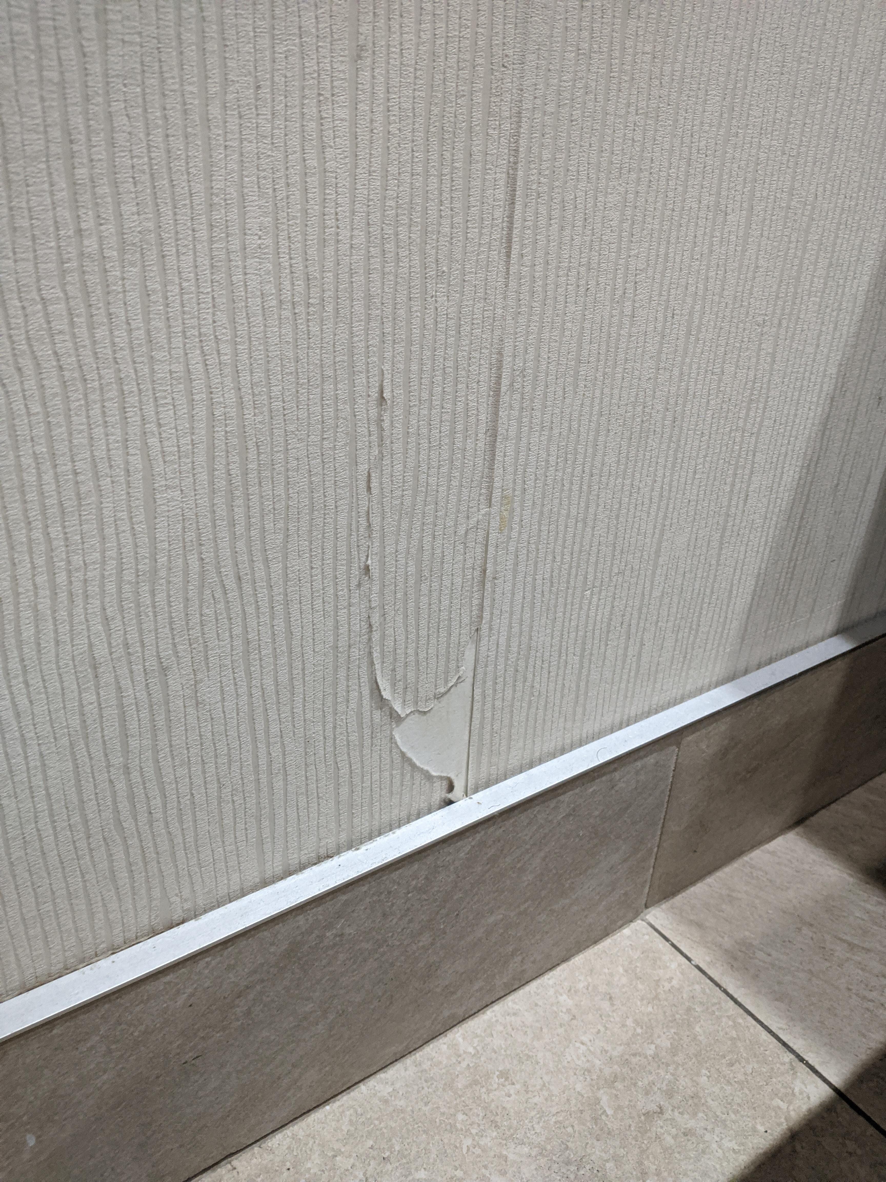 Peeling bathroom, loose toilet and the bare minimum of bathroom amenities 