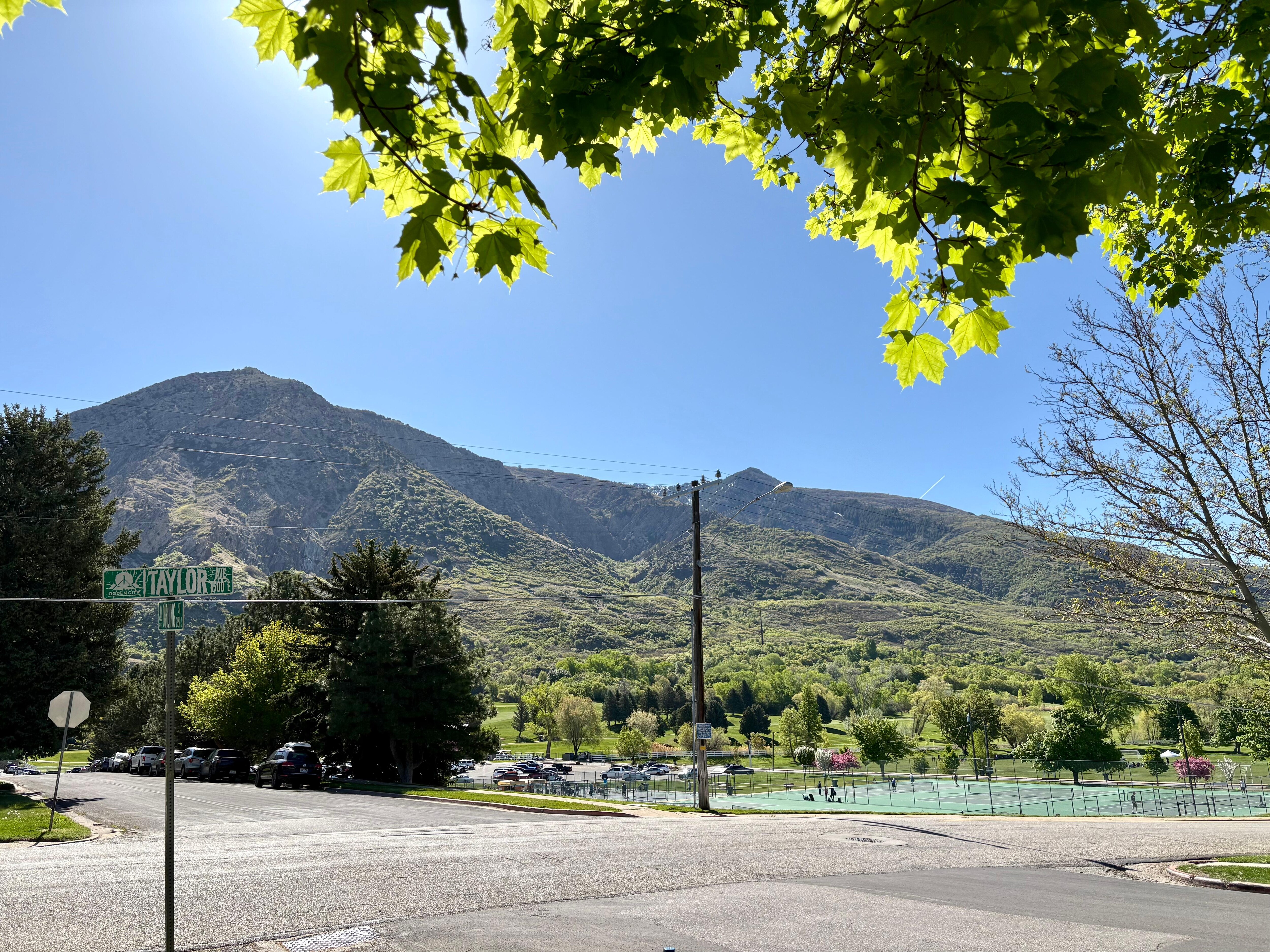 View from the front yard