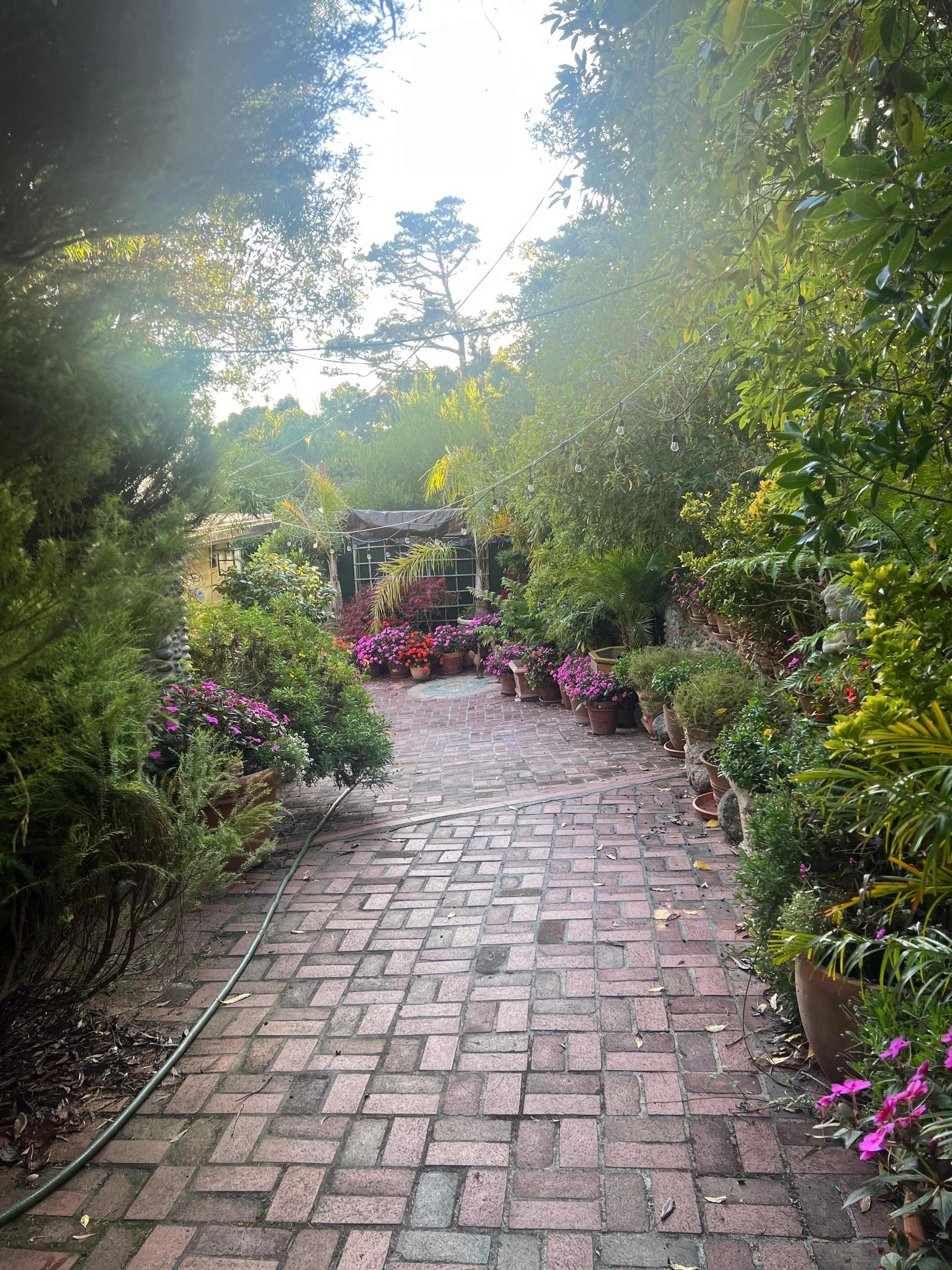 A truly peaceful, gorgeous welcoming entrance to cottage. 