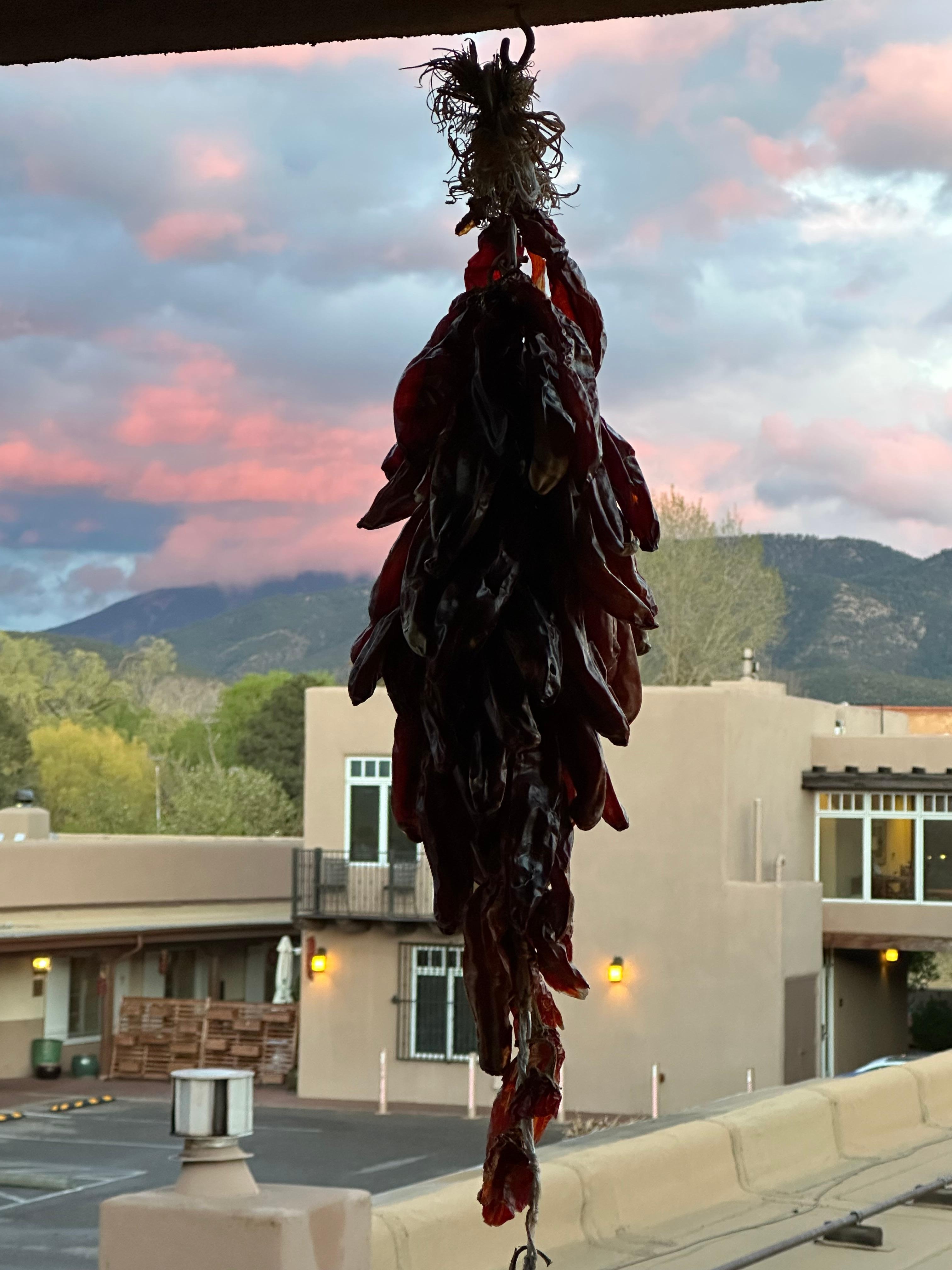 View from room porch. 