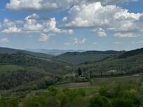 View of the vineyards in the back