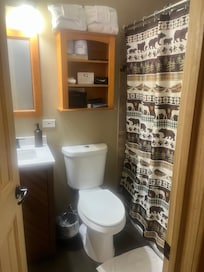Updated bathroom