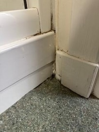 More mold