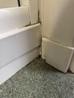 More mold
