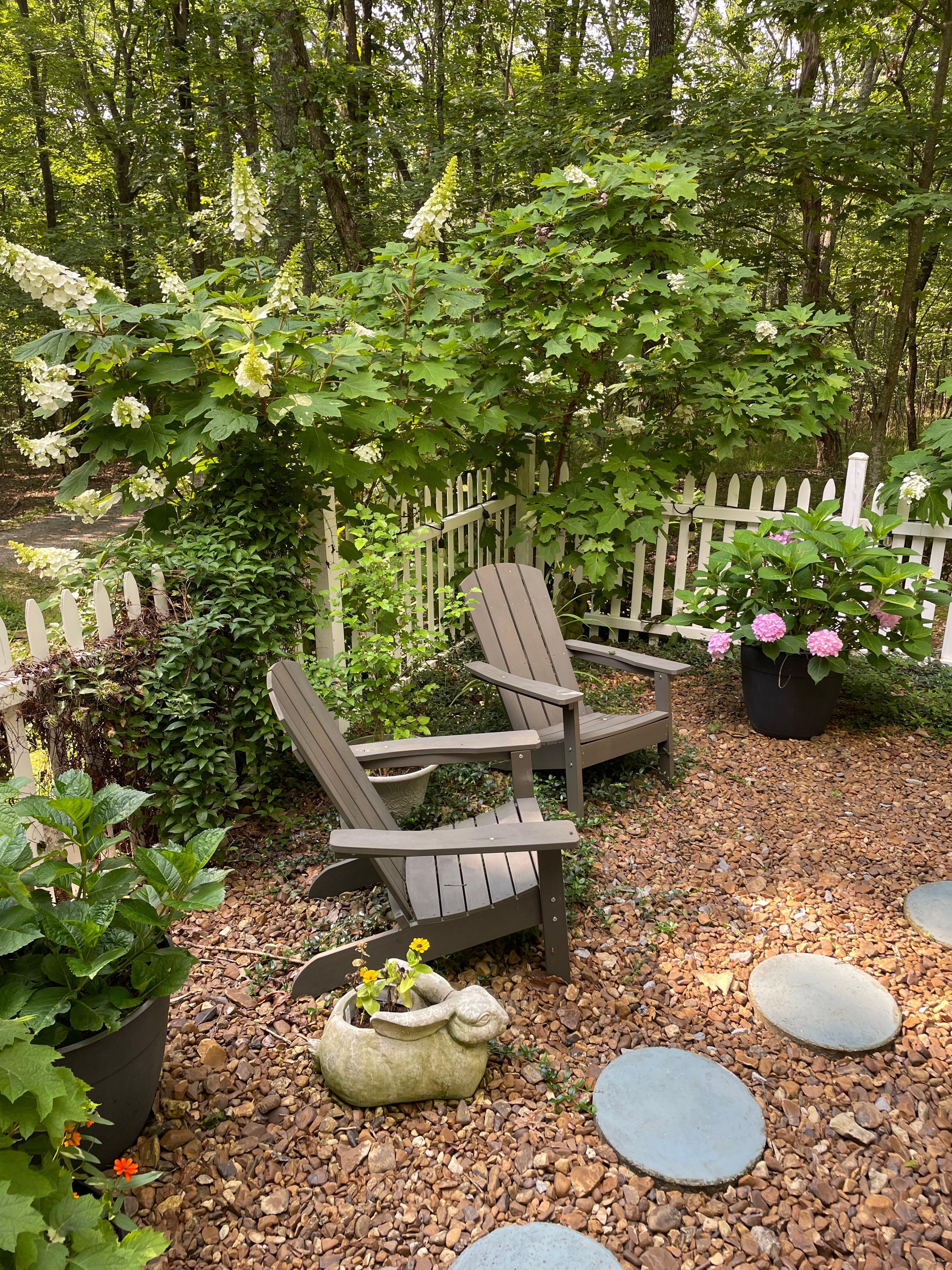 Lovely garden. There's a grill.