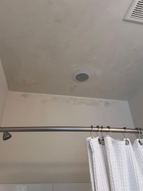 Mold that had been painted over.