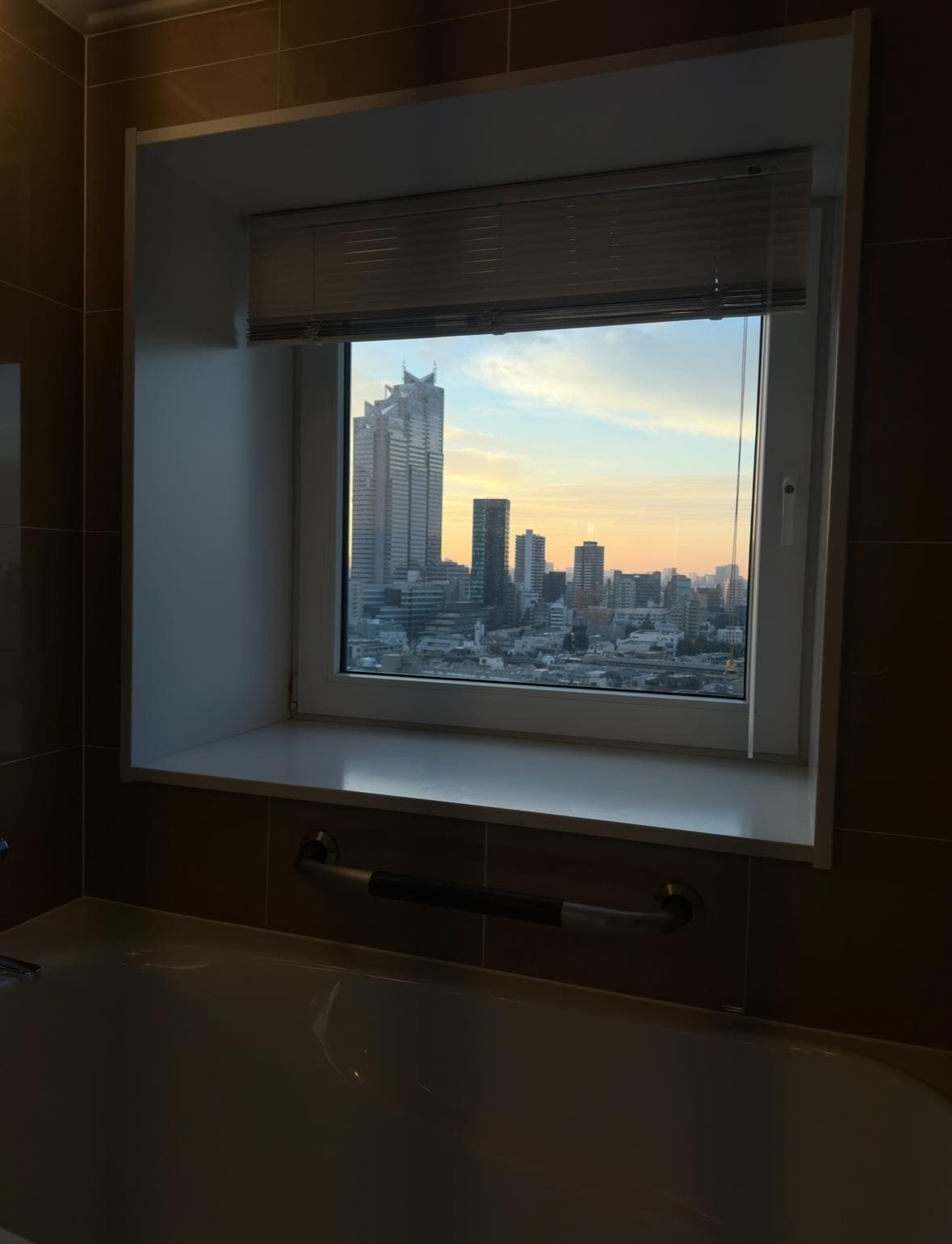 Vista desde el baño
