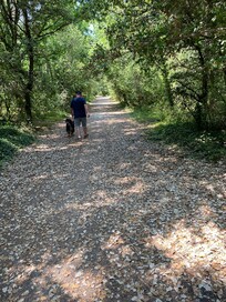 Promenade en forêt