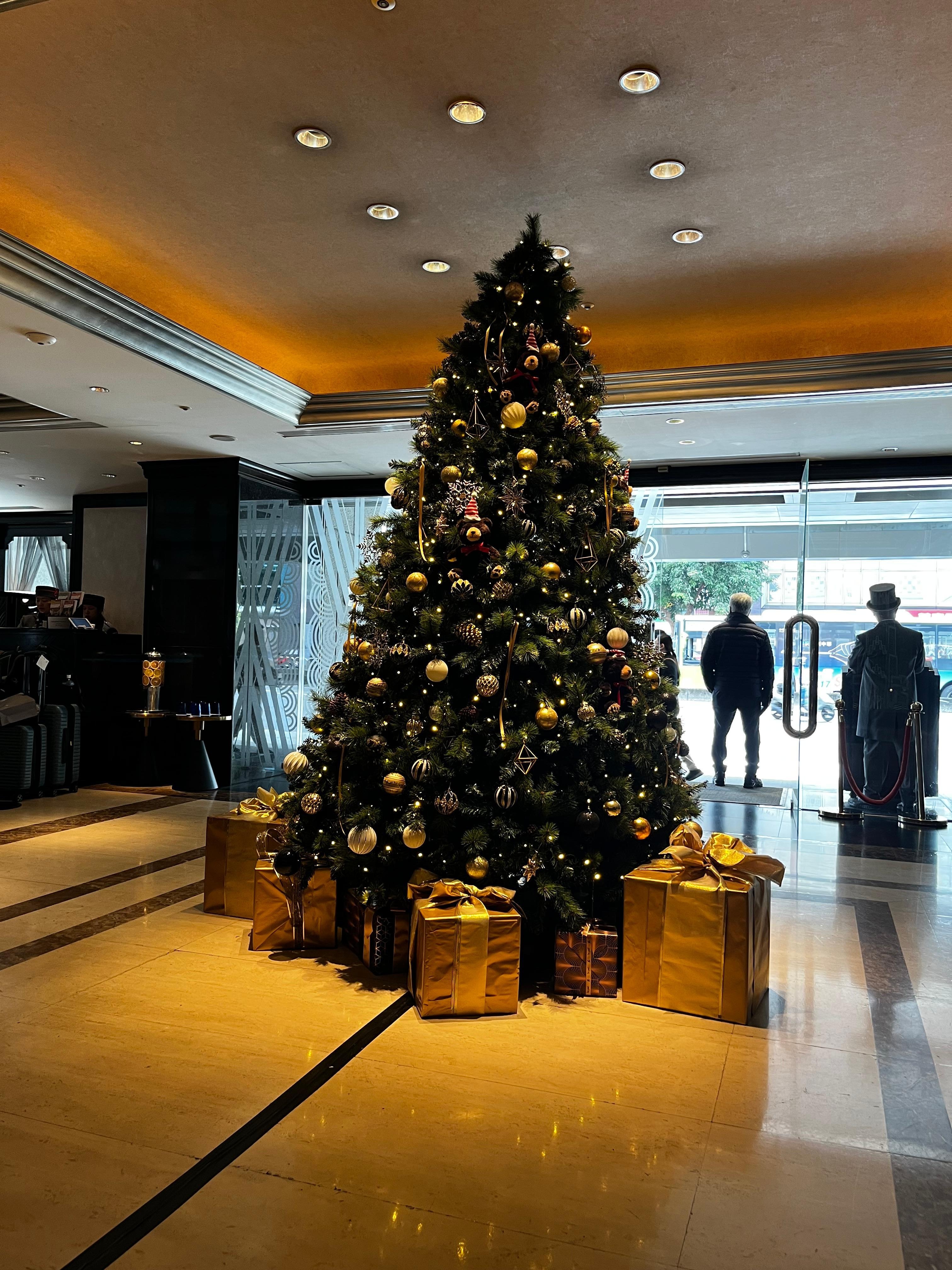 年末から年始にかけてクリスマスツリーが設置されていました。