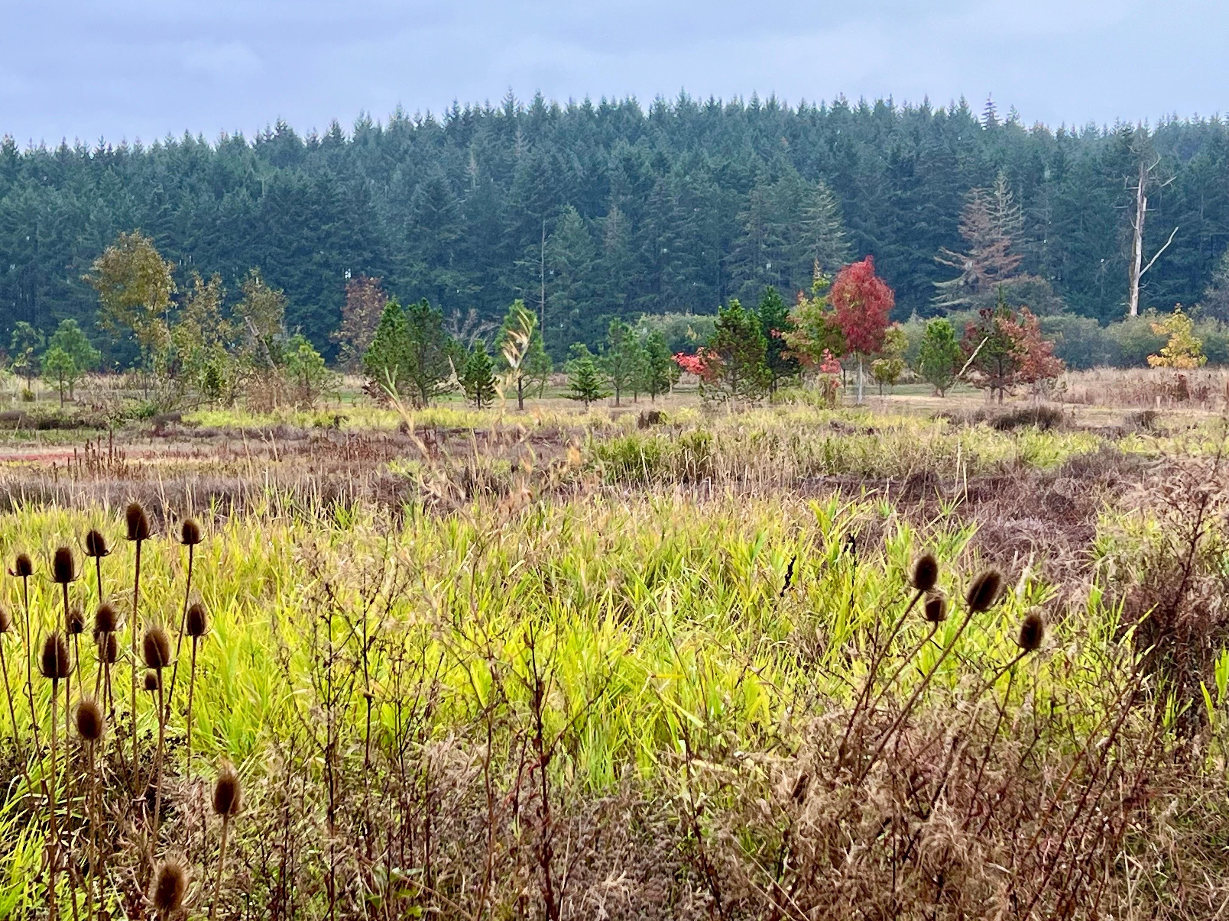 On the grounds of the property