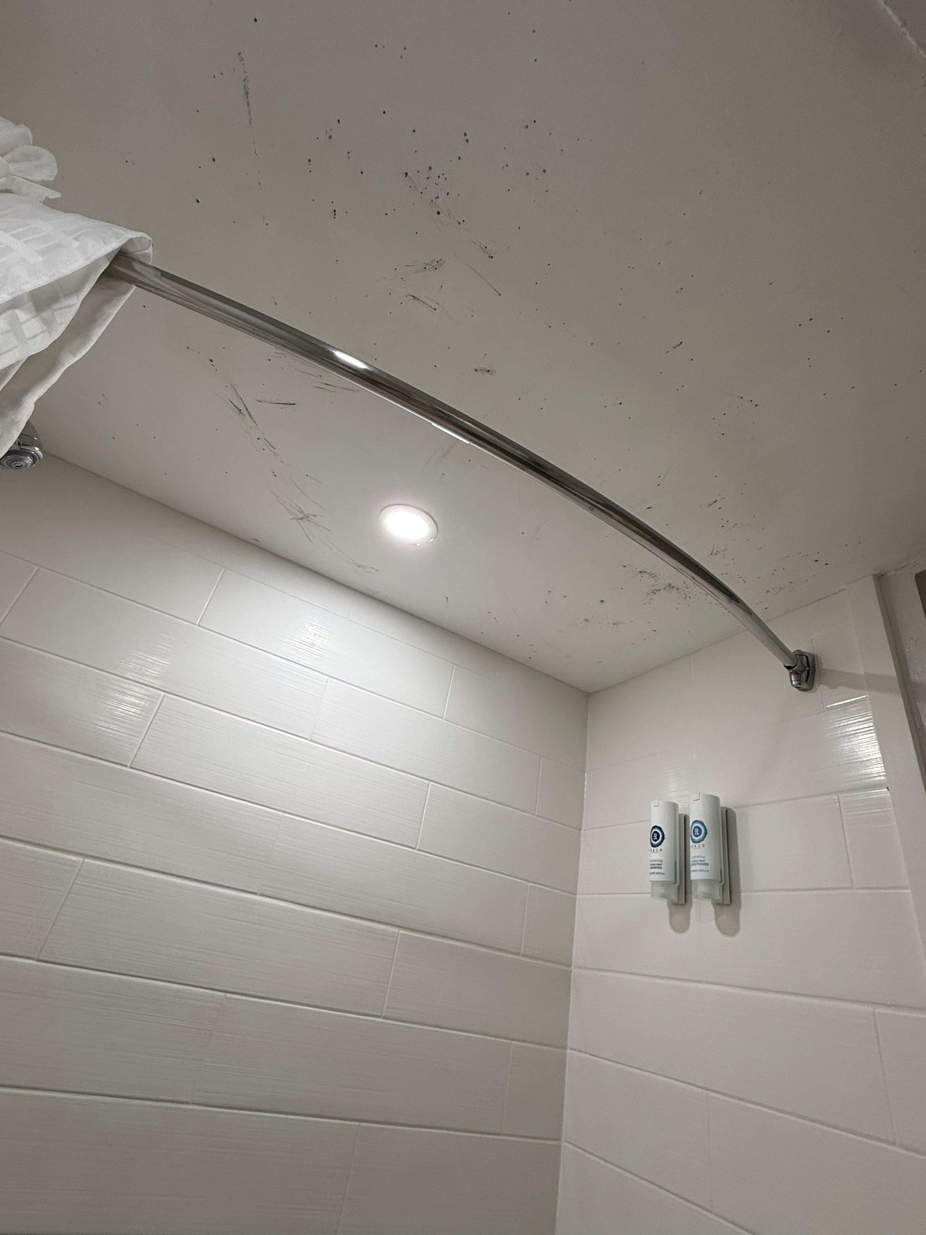 Mold in bathroom on ceilings and walls 