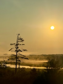 Morning sunrise with river mist.